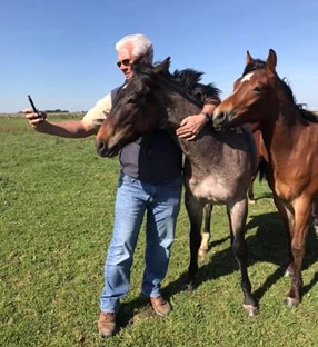 Dr B with horse and foal